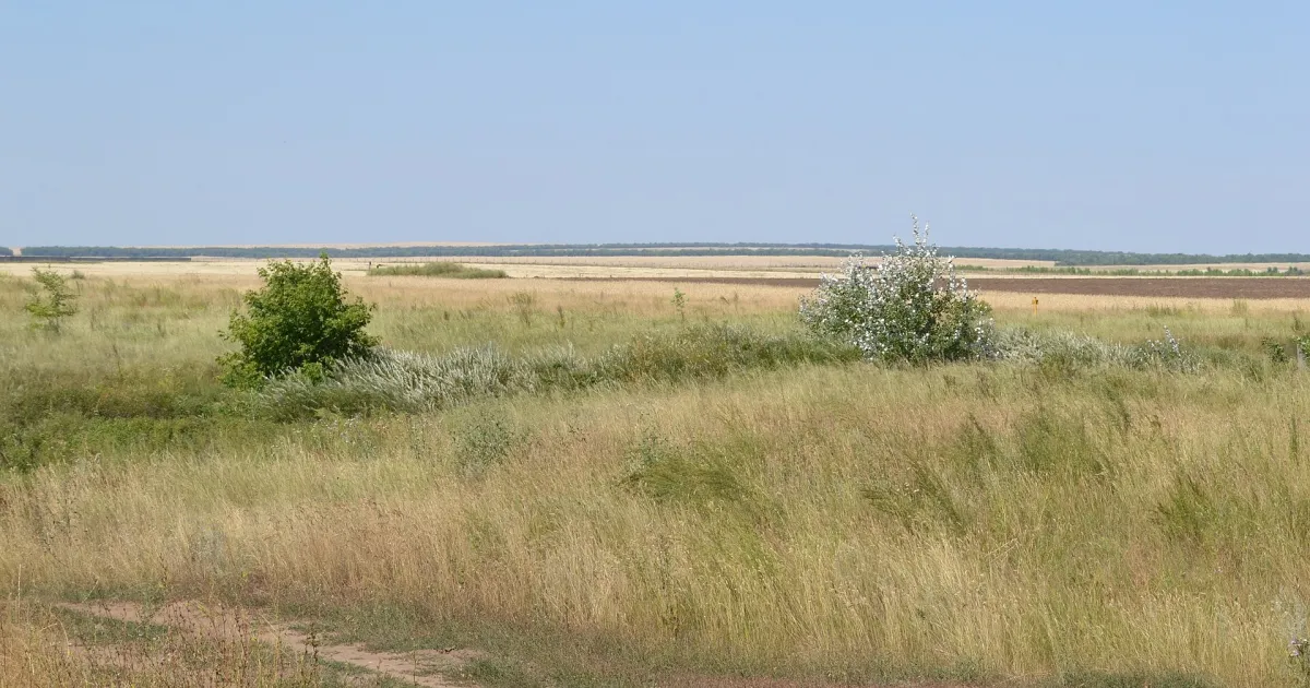 Оренбург — вид аэропорта